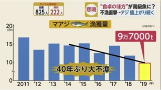 外房 アジの遠投 カゴ 釣り日記 ブランクうん十年を経て再開した千葉 外房 内房 南房ポイントでの堤防アジ釣り アジング カマス タコ キス ライトソルト 仕掛けやポイント コマセまでの備忘録 勝浦 鴨川 内房 湾奥 伊豆 伊東の各方面で遊んでます