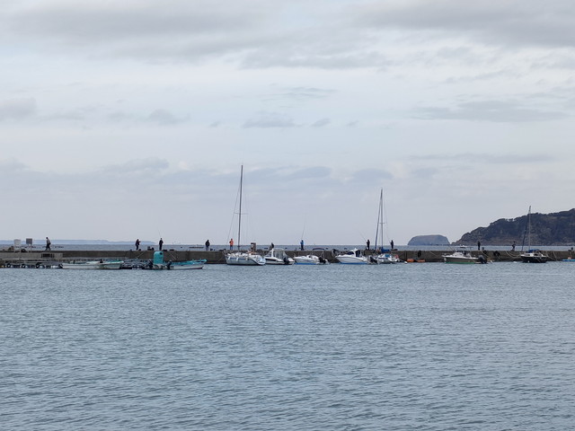 3月の冨浦新港の釣り人