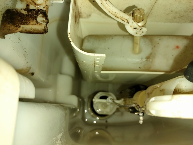 DT-4873INAXのトイレ排水したタンク内部