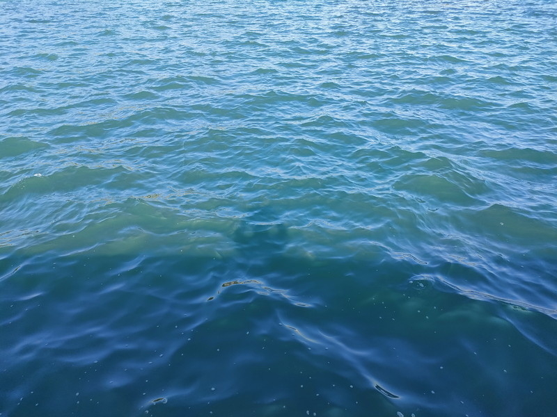 鴨川の海