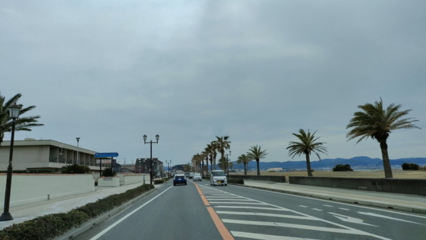 館山湾沿いの道路
