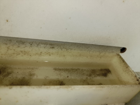 水受けにも水が溜まっていた